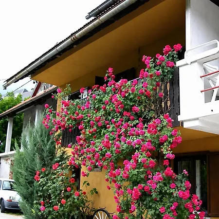 Σπίτι διακοπών Rose *